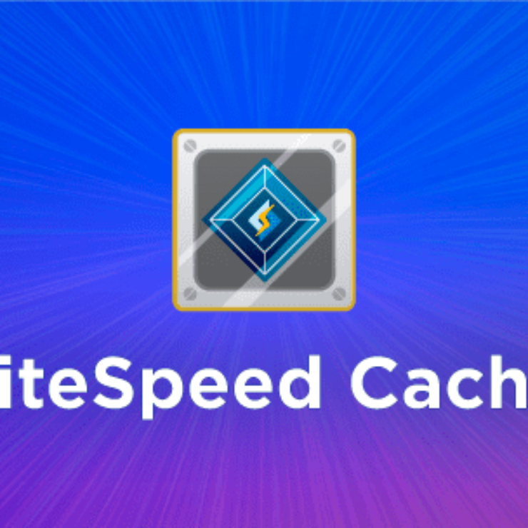 Litespeed Cache Nedir?